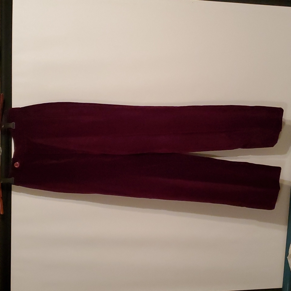 Ricki's Slim Velvet Pants in Wine